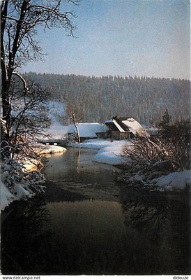 Postkarte - 25 - Mouthe - Le Doubs - CPM - siehe beidseitige Scans - Postkarte