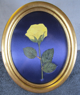 Schöne Vintage ovale vergoldete gerahmte echte Blumen gelbe Rose Blumen Display auf Seide