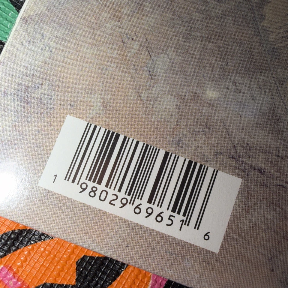 LIMITED EDITION /1995 Foo Fighters Debut Album Mint Vinyl Record RSD Ready2ship Foto 3 de 3