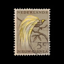 Netherlands New Guinea, Scott 23, Bird of Paradise, 1954, used, 113920