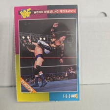 1995 WWF Magazine Cards - 1-2-3 Kid #6