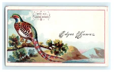 Edgar Kunes With All Loving Wishes Calling Card - Sample Business Card