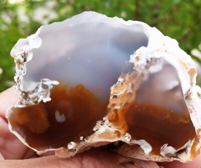 Mirror Polished Marvelous Bicolor Chalcedony in White Tuff