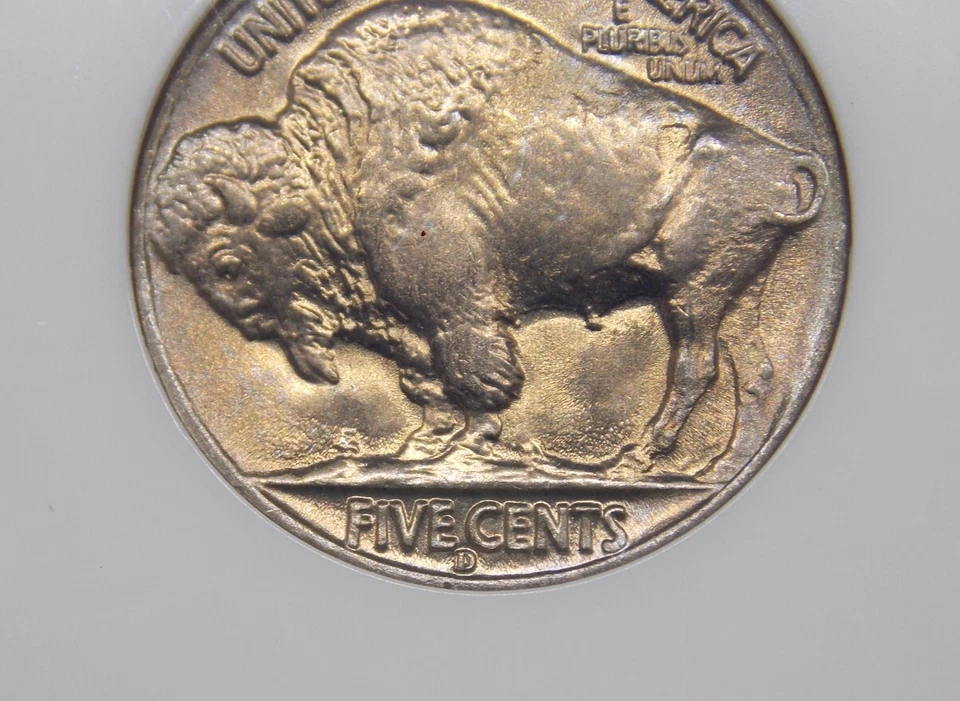 1938 "D/D" Indian Head BUFFALO Nickel 5c NGC MS66 #025 Gem BU Unc ECC&C, Inc. - Image 3 of 4