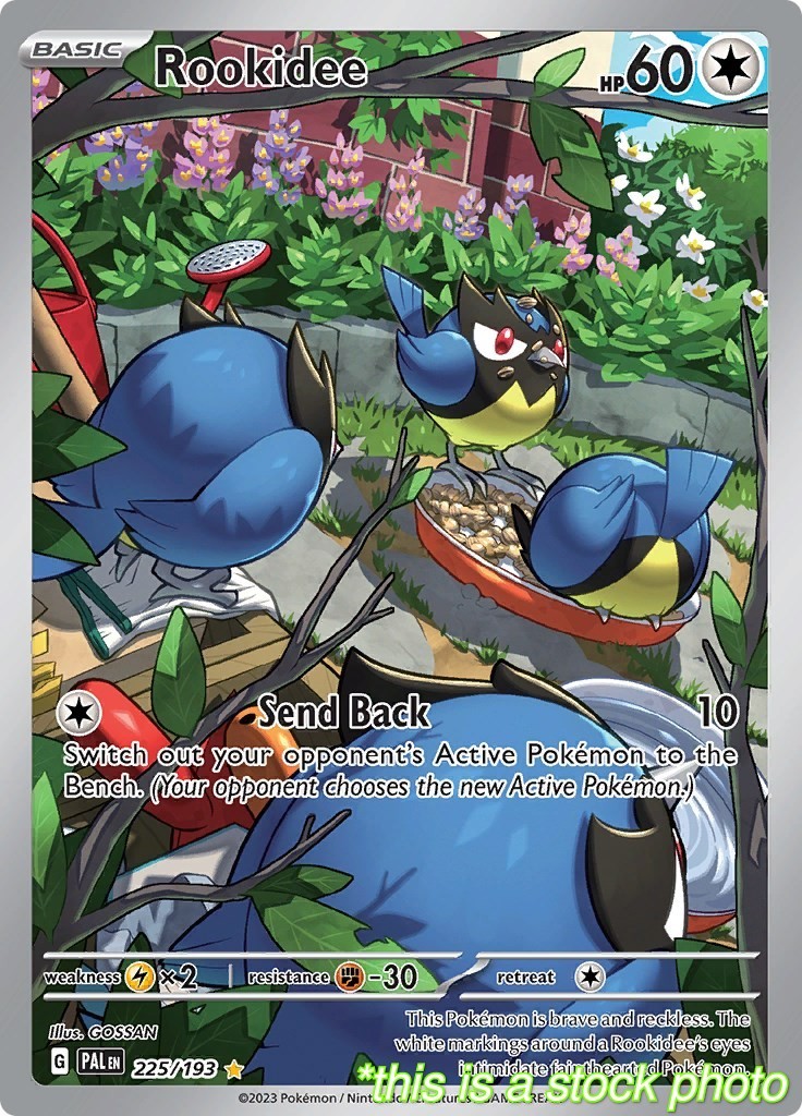 Rookidee PAL Holofoil 225/193 Paldea Evolved NM