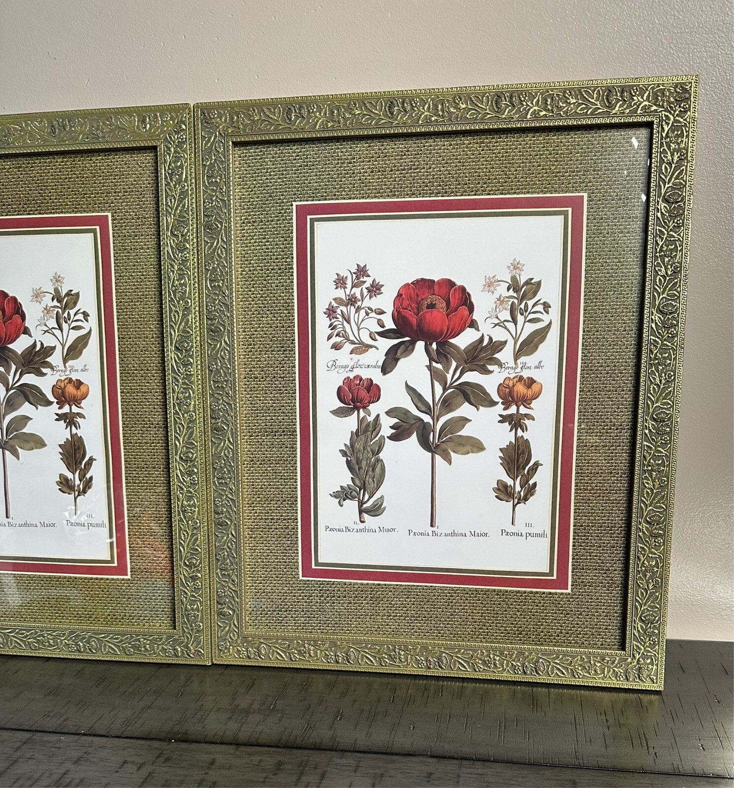 Set of 2 Gold Framed Botanical Flower Prints | Vintage Wall Art 18x14