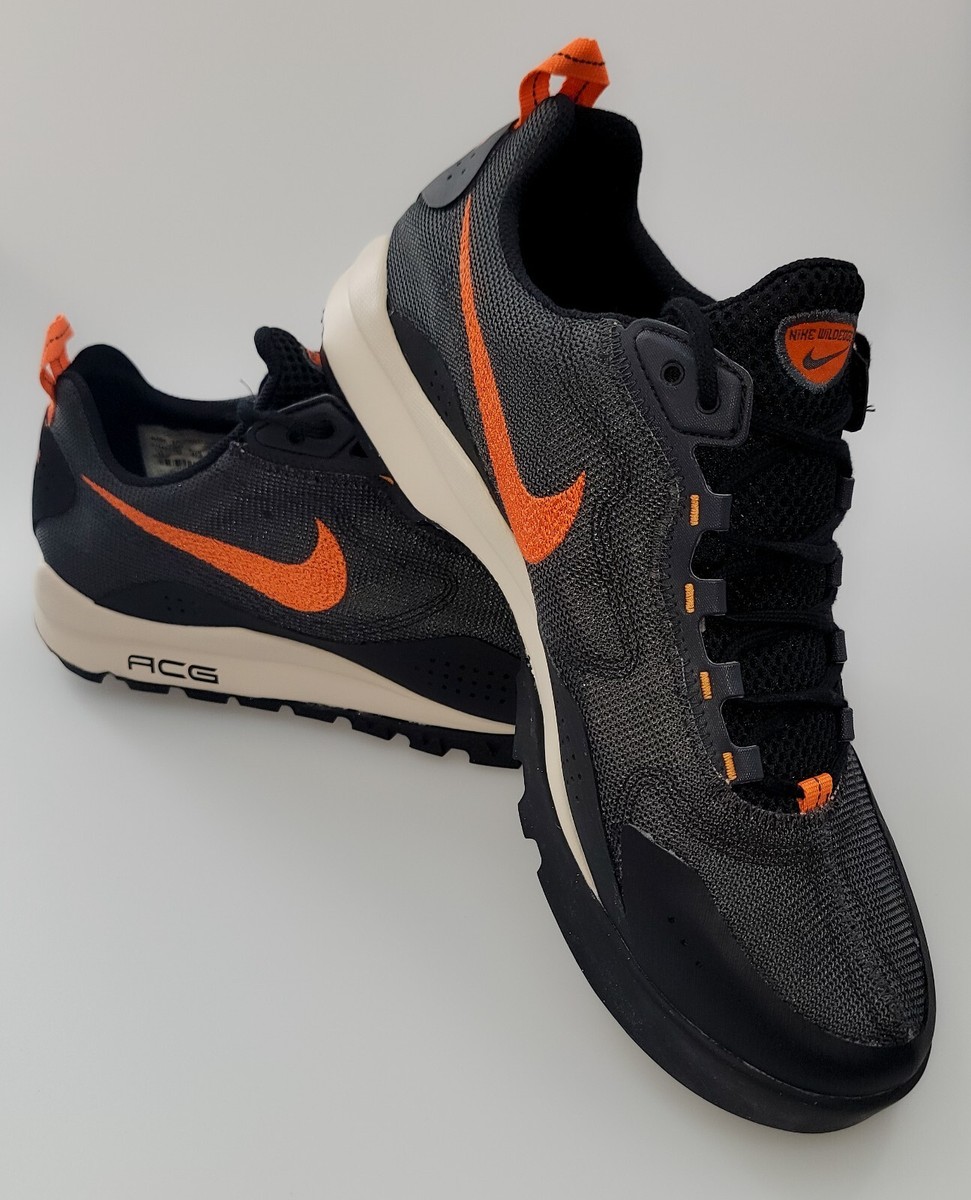 NIB DS Sz 13 Nike ACG Wildedge Anthracite Outdoors Sneaker Boot