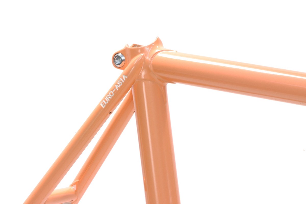 Gan Well Pro Track Fixed Gear Frameset NJS Pale Orange 51cm New