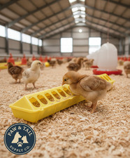 Little Giant 20" Plastic Flip-Top Poultry Ground Feeder, Yellow Chickens Birds