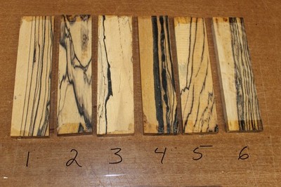Pale moon, black and white ebony bridge blanks. Sold individually