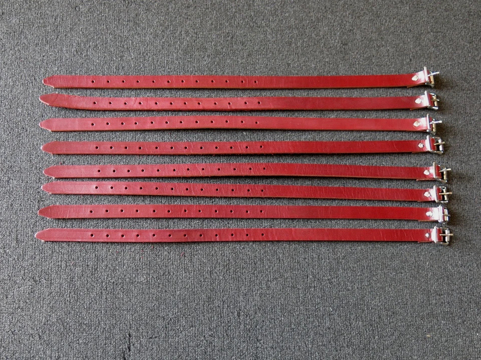 Portaesquí Porsche OEM KARO para 914, correas nuevas, muy bonito Foto 2 de 4