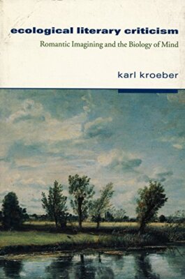 Ecological Literary Criticism: Romantic Imagini, Radin+=