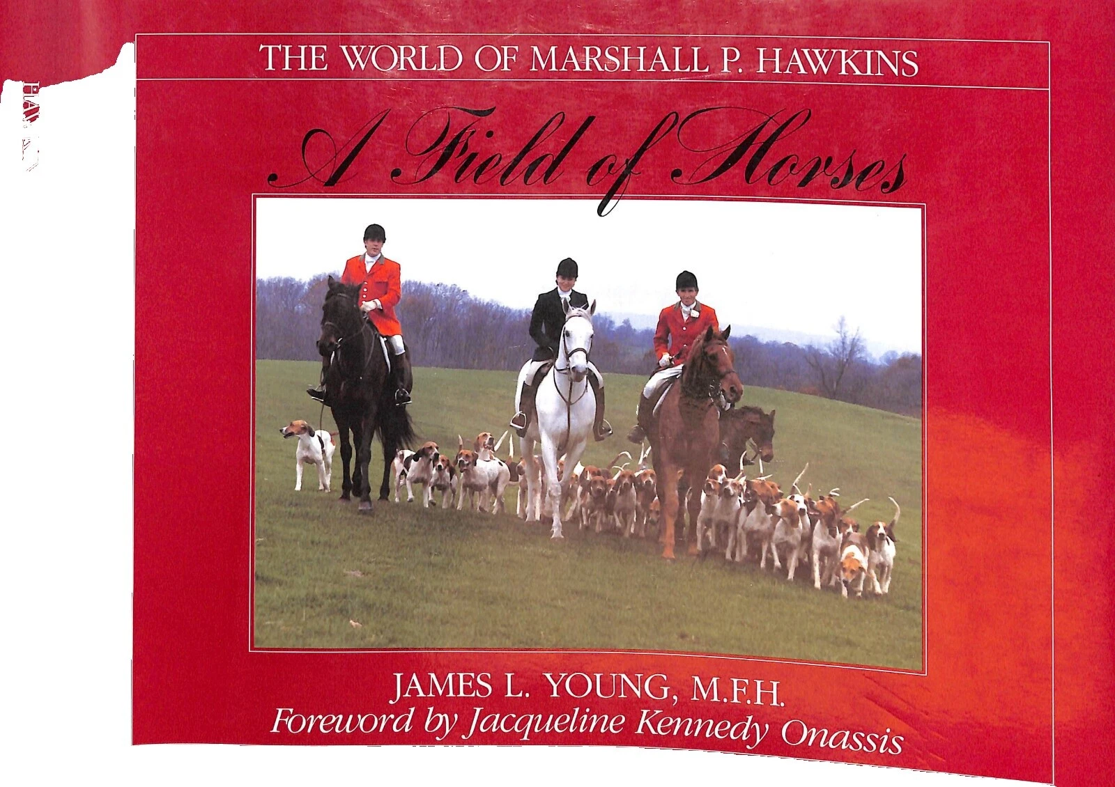 Equestrian Antiquarian & Collectible Books with Dust Jacket in English