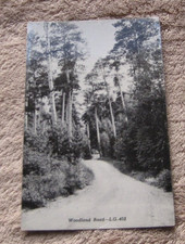 Bergland MI Michigan Postcards Woodland Road Greetings From 1950's Era Scene