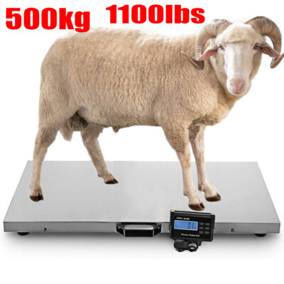 1000lbs Animal Scale Stainless Platform Scales for Hogs Goat Sheep Alpacas Pig