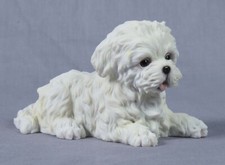 Carino adorabile cucciolo maltese terrier bianco statuina polistone decorazione casa