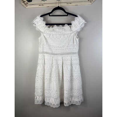 Francesca's White Lace Dress Off Shoulder A-line Mini Large | eBay