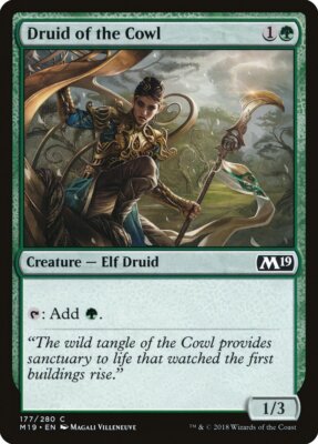 MTG Magic the Gathering Druid of the Cowl (177/339) Core Set 2019 LP