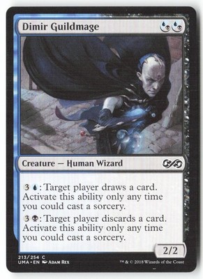 [T606] Dimir Guildmage 213/254 C ENG