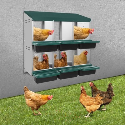 6 Fächern Hühner-Nistkasten Grün Legenest Nistkasten Chicken Nesting Box DHL
