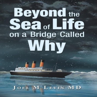 Beyond the Sea of Life on a Bridge Called Why Joel M Levin MD Har
