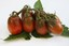 Indexbild 1 - Tomate Samen schwarz Kaiser Dark Tomaten Bio Samen Ukraine 20 Samen D
