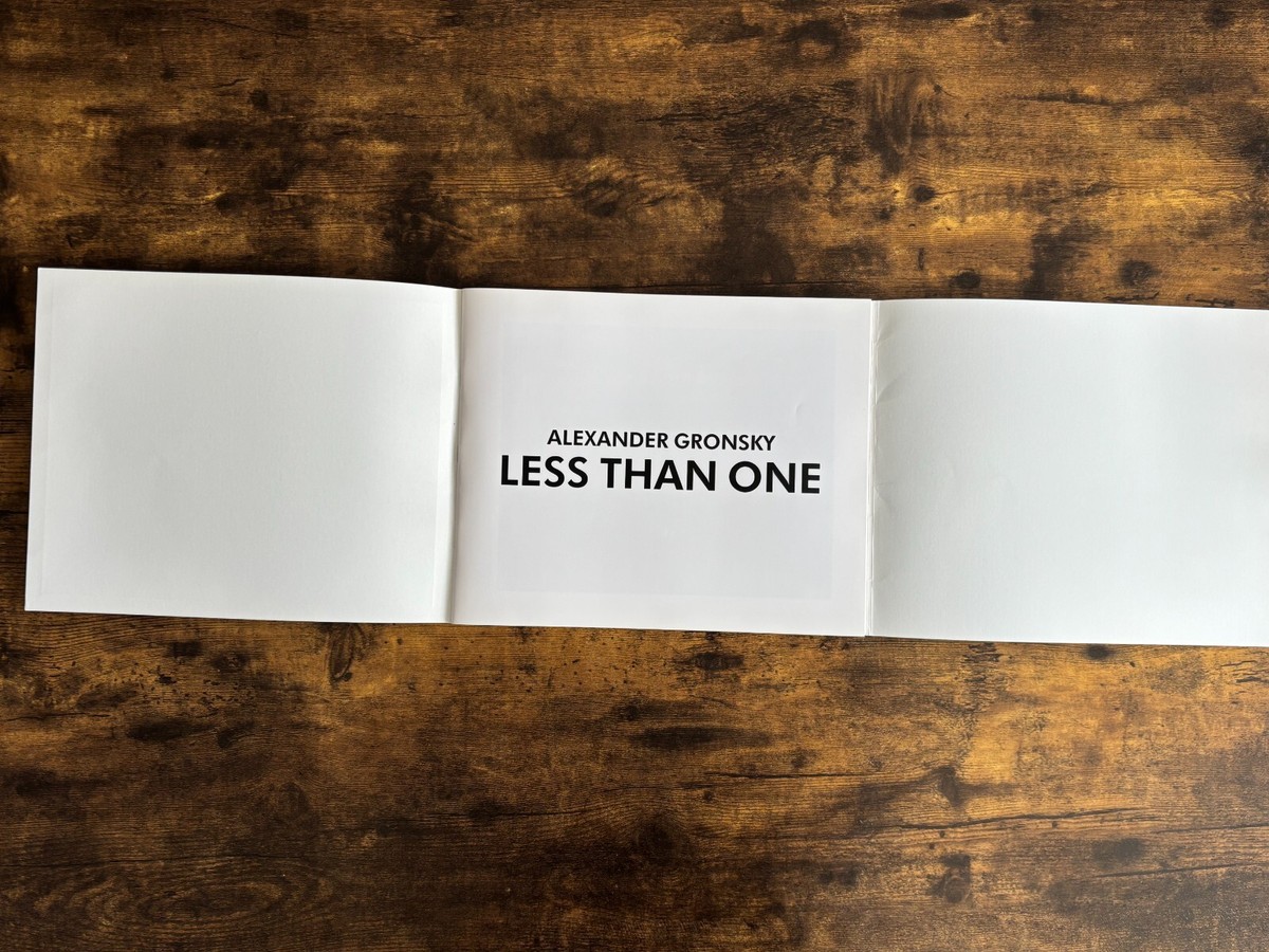 Less Than One / Alexander Gronsky　定500部 Alexander Gronsky Less Than One 1st Edition Limited 500