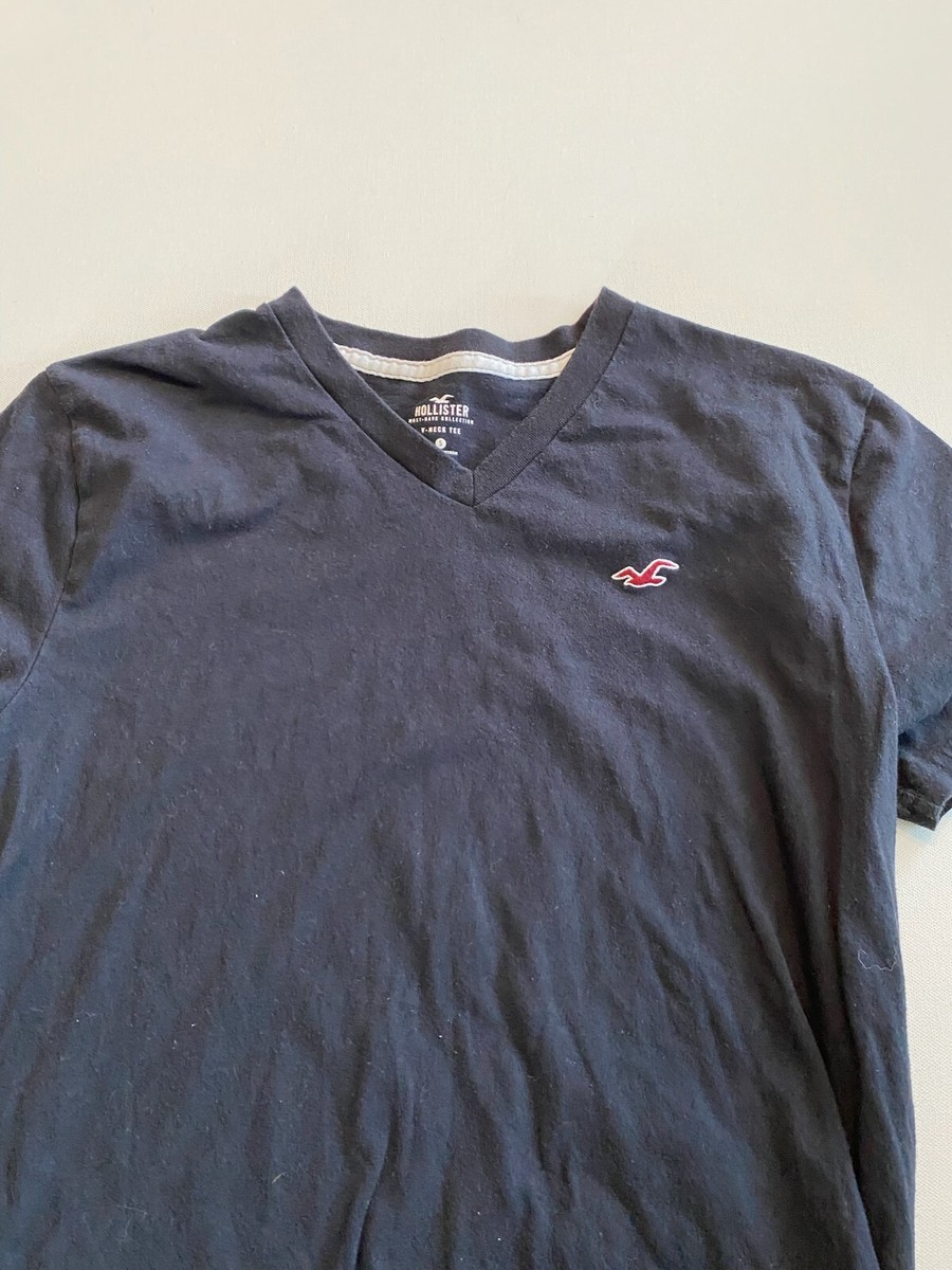 Hollister Shirt Men's Small V-Neck Must Have Collection Tee