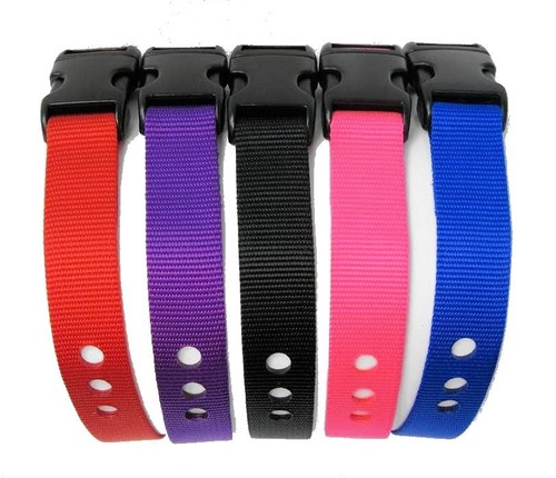 STUSSY Dog Collar 32-44cm 12.6