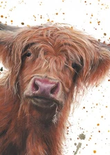 Bree Merryn Highland Cow A5 Notebook: Plastic Free Packaging by Carousel Calenda