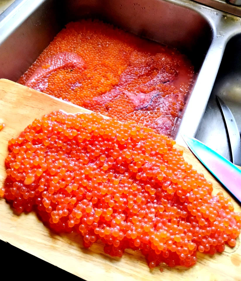 Mezcla chum huevos curativos naturales rey salmón cabeza de acero trucha coho pescado cebo curado Foto 3 de 4