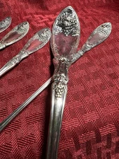 1881 ROGERS*LAVIGNE GRAPE PATTERN*SERVICE FOR 8 + MANY EXTRAS*MOST PCS NEW*1906