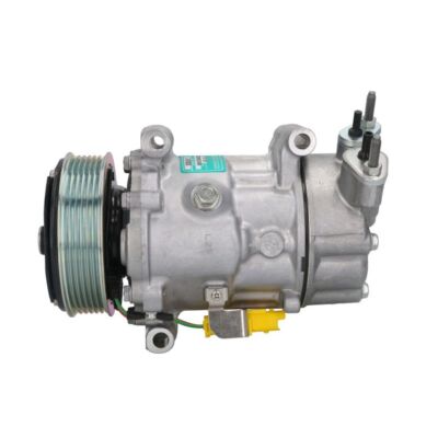 Kompressor, Klimaanlage SANDEN SD6V12-1929E