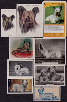 9 Different Vintage SKYE TERRIER Tobacco/Cigarette/Tea Dog Cards Lot 