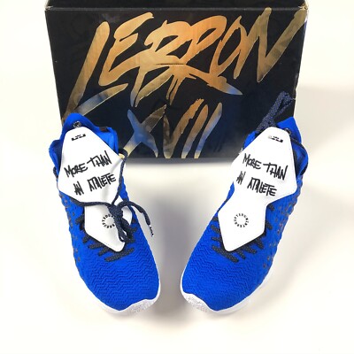 NEW Nike Lebron 17 