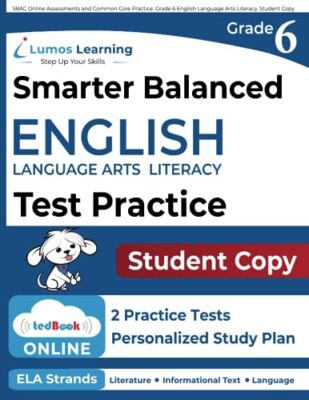 SBAC Online Assessments and Co - Paperback - VERY GOOD