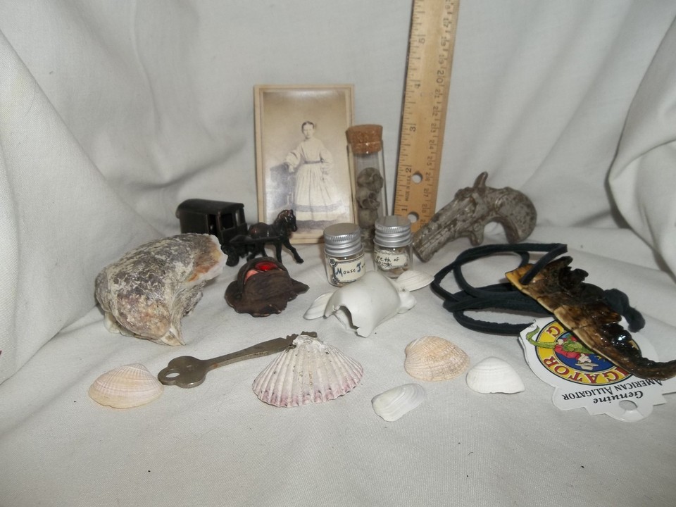An 11-piece curated oddity lot — skulls, teeth, a sideshow gaff, taxidermy eyes — a ready-made cabinet of curiosities in a box.