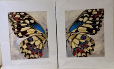 Butterfly Print Wall Art Set of 2 Matted 11x14 Nature Decor Blue Gold Red Modern