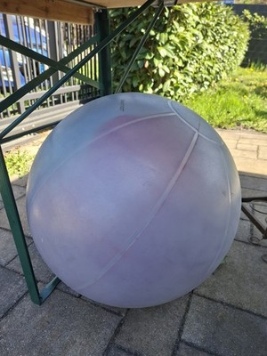 Sissel Ergonomischer Sitzball Fitnessball Gymnastikball Trainingsball 55 cm