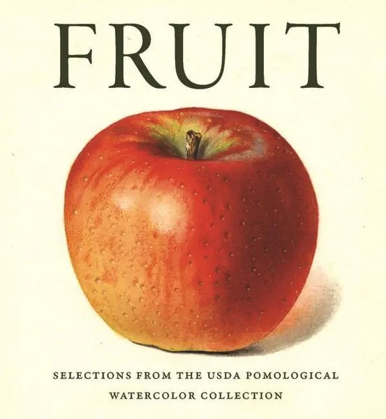 Abbeville Press | Fruit | Buch | Englisch (2022) | Abbeville Press | Gebunden-image