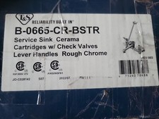T S Brass B-0665-CR-BSTR Service Sink Faucet