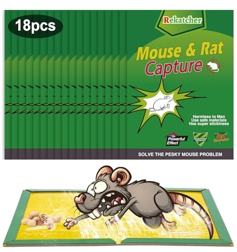 Piège à Souris Non Toxique pour Cuisine : Protégez vos Placards avec 18 Répulsifs
