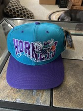 Vintage NBA G Cap Charlotte Hornets Snapback Hat Cap 90s North Carolina With Tag