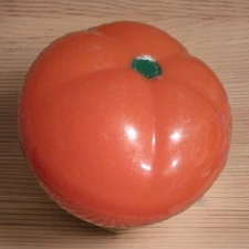 Hutzler Tomato Fresh Keeper Plastic Container, Screw Top, BPA Free