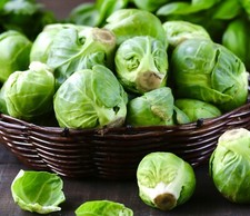 Brussel Sprouts Seeds x 600 Evesham Special - Economy