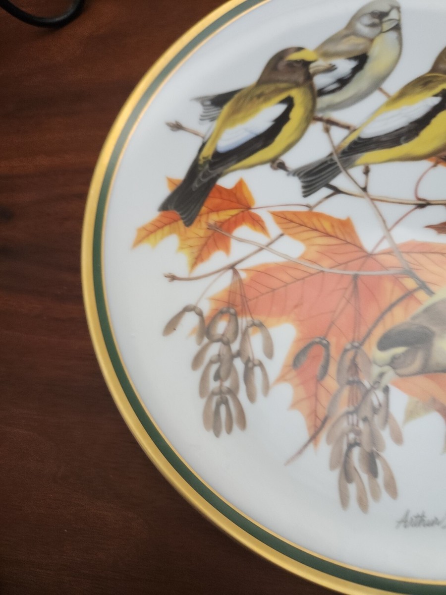 National Audubon Society Woodland Birds of the World Evening