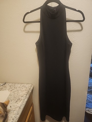 august silk dress