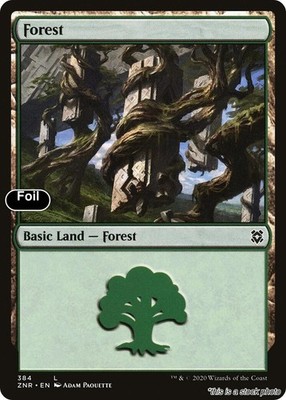 MTG Forest [ZNR - 384] LP Foil