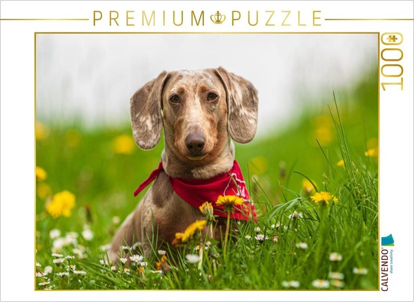Calvendo Puzzle In The Spring Meadow | 1000 Pieces, Finished Size 25.2 × 18.9 In-image