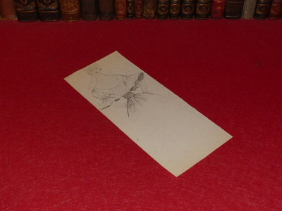 Originaler Vintage Pierre Balmain Zeichnung 1952 MODE FRENCH HAUTE COUTURE
